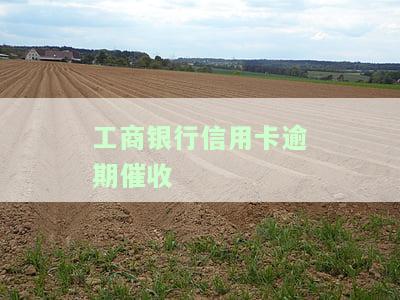 工商银行信用卡逾期催收会上门吗，工商银行信用卡逾期：催收是否会亲自上门？