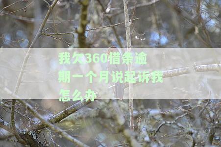 逾期一个月被起诉的风险及处理方法