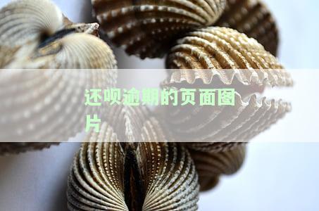 还呗逾期的后果，警惕！还呗逾期的严重后果，你必须知道