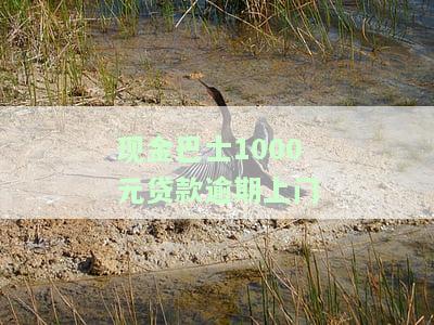 现金巴士1000元贷款逾期上门催收，警惕！现金巴士1000元贷款逾期，上门催收即将开始！