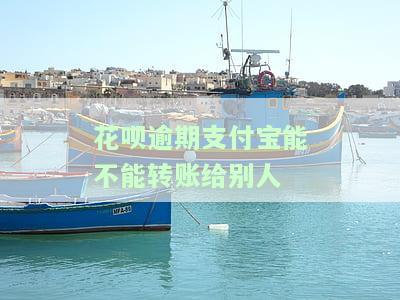 支付宝花呗逾期后能否继续使用？影响转账、支付功能解析