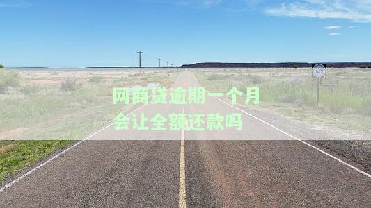 网商贷逾期一个月后全额还款，能否继续借款？影响及解决办法