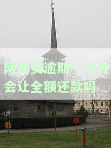 网商贷逾期一个月会让全额还款吗