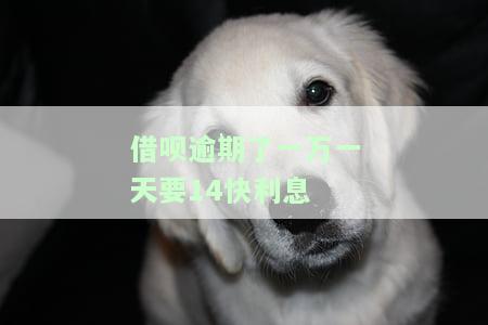 借呗逾期了一万一天要14快利息-借呗10000逾期一天多少利息