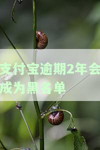 支付宝逾期2年会成为黑名单-支付宝逾期2年会成为黑名单吗