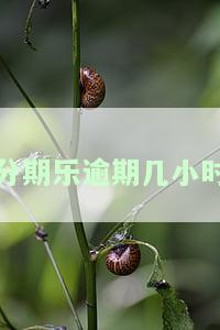 分期乐逾期多久可以使用，了解分期乐逾期的后果：逾期多久可以恢复正常使用？