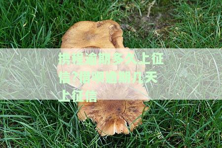 携程逾期多久会被起诉，携程逾期时间长短与被起诉风险的关系