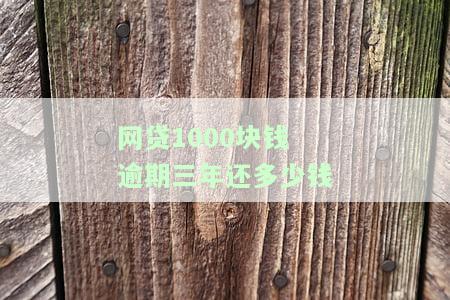 网贷1000块钱逾期三年还多少钱