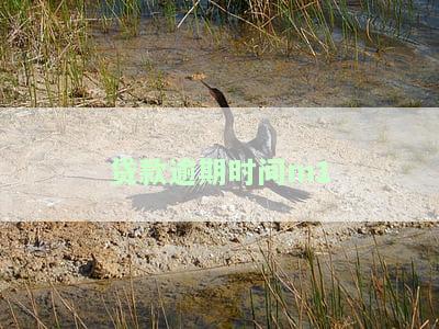 贷款逾期时间长了利息和滞纳金太高能减免多少，如何申请减免长期贷款的高利息与滞纳金？