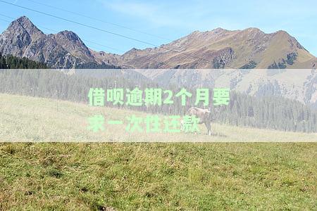 借呗逾期2个月要求一次性还款怎么办，面对借呗逾期2个月的要求，如何应对并一次性解决问题？