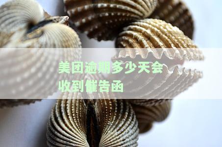 美团逾期多少天会收到催告函？逾期四天将寄出催告函件，该怎么办？