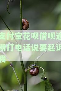 支付宝花呗借呗逾期了，打电话来说会上门，是真的吗？