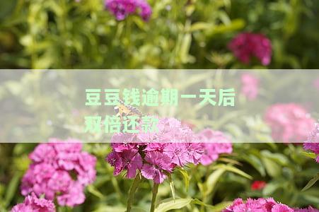 豆豆钱逾期一天后双倍还款-豆豆钱逾期一天怎么要还两期的钱?