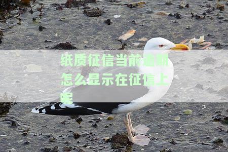 纸质征信怎么看逾期，如何查看纸质征信中的逾期记录？