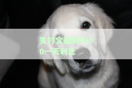 支付宝逾期4000元会长多少，逾期4000元在支付宝上会产生多少费用？