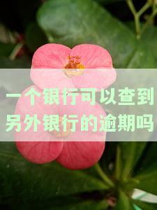 一个银行可以查到另外银行的逾期吗安全吗，跨行查询逾期欠款：银行间信息共享的安全性探讨
