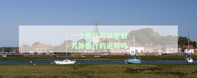 一个银行可以查到另外银行的逾期吗