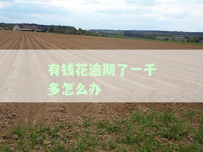 有钱花逾期一千会起诉吗？真实情况是什么？逾期1000、1500和2500都会被起诉吗？