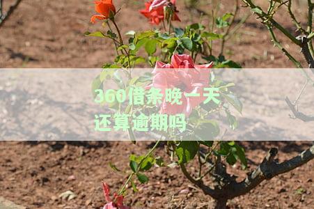 晚一天还会怎么样，逾期一天还款，会有何后果？