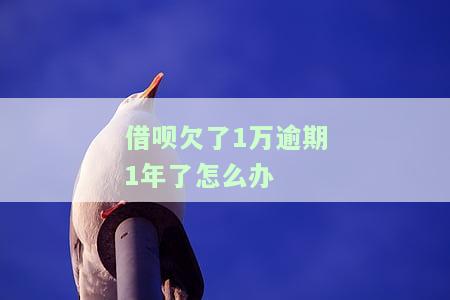 借呗一万一逾期一年会产生哪些后果？罚息多少？是否会被起诉或坐牢？
