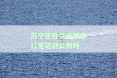 任性贷逾期了说安排工作人员上门，会来吗？上门调查、电话催收合法吗？户所在地是否会受到打扰？