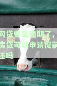 网贷要是逾期了,房贷可以申请提前还吗安全吗，网贷逾期后，房贷是否能安全提前还款？
