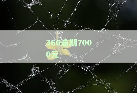 360逾期多少会被起诉，警惕！逾期多久会被告上法庭？——'360逾期多少会被起诉'的解析