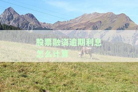股票融资逾期利息怎么计算