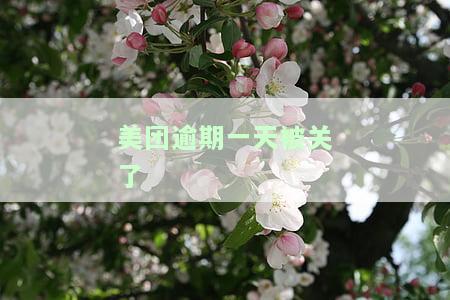 美团逾期一天是不是以后都不能用了？逾期一天的影响及后果