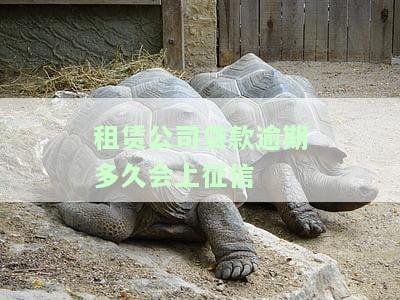 租赁公司贷款逾期多久会上征信啊，租赁公司贷款逾期多长时间会出现在个人征信记录中？