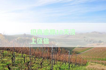 招商逾期10天未上征信，有何后果？能否最低还款？对征信影响多久？