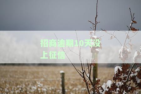 招商逾期10天没上征信-招商逾期10天没上征信怎么办