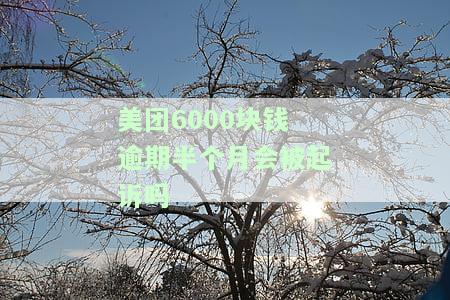 美团6000块钱逾期半个月会被起诉吗？真的可能被起诉吗？逾期一个月会有何后果？是否会被美团起诉？逾期2000元又会如何？