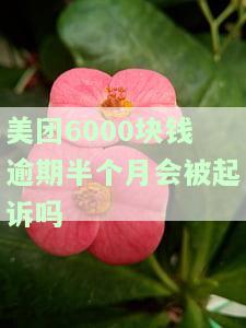 美团6000元逾期半月会被起诉吗？真相是什么？