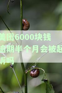 美团6000块钱逾期半个月会被起诉吗