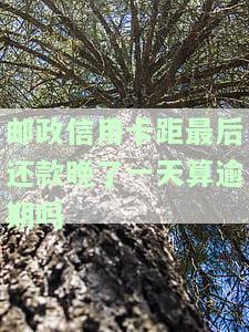 邮政信用卡可期还款：3天宽限期，到账时间及还款限额全解