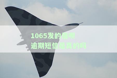 1065发的借呗逾期短信是真的吗吗，真假难辨？揭秘'1065发的借呗逾期短信'