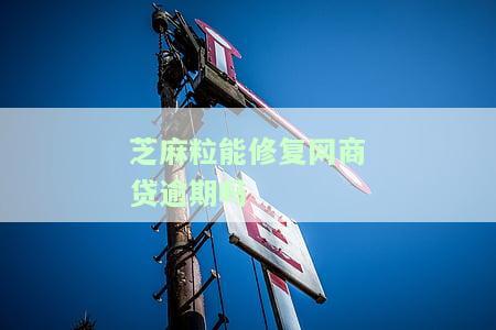 支付宝芝麻粒可以修复逾期多久？修复次数、影响及恢复额度全解析