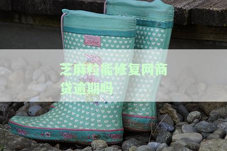 芝麻粒修复逾期记录,一天可以修复价格，芝麻粒修复逾期记录，快速解决信用问题！