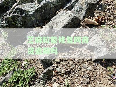 芝麻粒消除的逾期记录会让花呗重新可以使用吗，芝麻粒能消除逾期记录，让花呗重获新生吗？