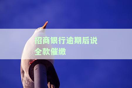 招商银行逾期后说全款催缴是真的吗，真相揭示：招商银行逾期后是否真的要求全款催缴？