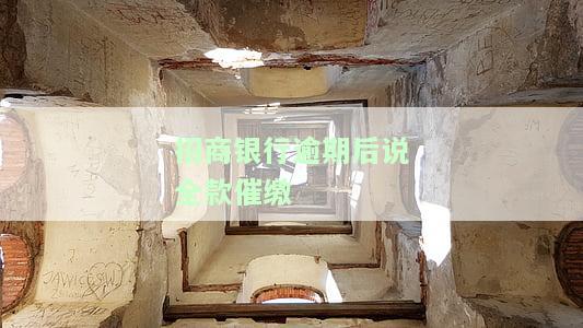 招商银行逾期后说全款催缴什么意思，解读招商银行逾期后的全款催缴通知