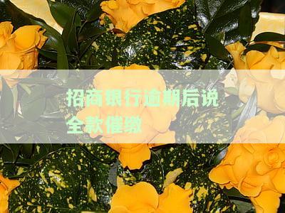 招商银行逾期后说全款催缴怎么办，如何应对招商银行逾期后的全款催缴通知？
