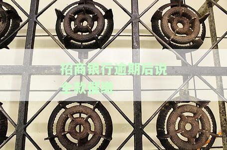 招商银行逾期半个月，电话要求还全款：影响征信及后续使用吗？