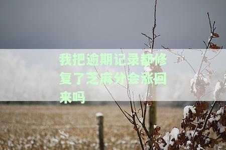 我把逾期记录都修复了芝麻分会涨回来吗