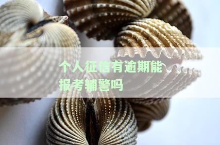 个人征信有逾期能报考辅警吗有影响吗，个人征信有逾期会影响报考辅警吗？