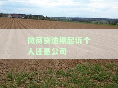 微商贷逾期起诉个人还是公司还款，微商贷逾期：是起诉个人还是公司承担还款责任？