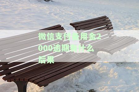 微信支付备用金2000逾期有什么后果吗，微信支付备用金2000元逾期会带来哪些后果？
