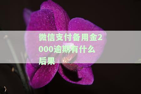 微信备用金2000逾期怎么办？影响、解决方法与期限全解析