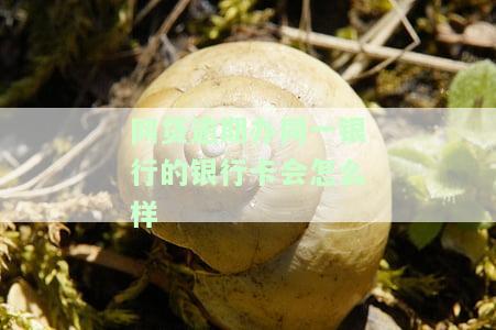 网贷逾期其他银行卡会被冻结吗，网贷逾期是否会导致其他银行卡被冻结？